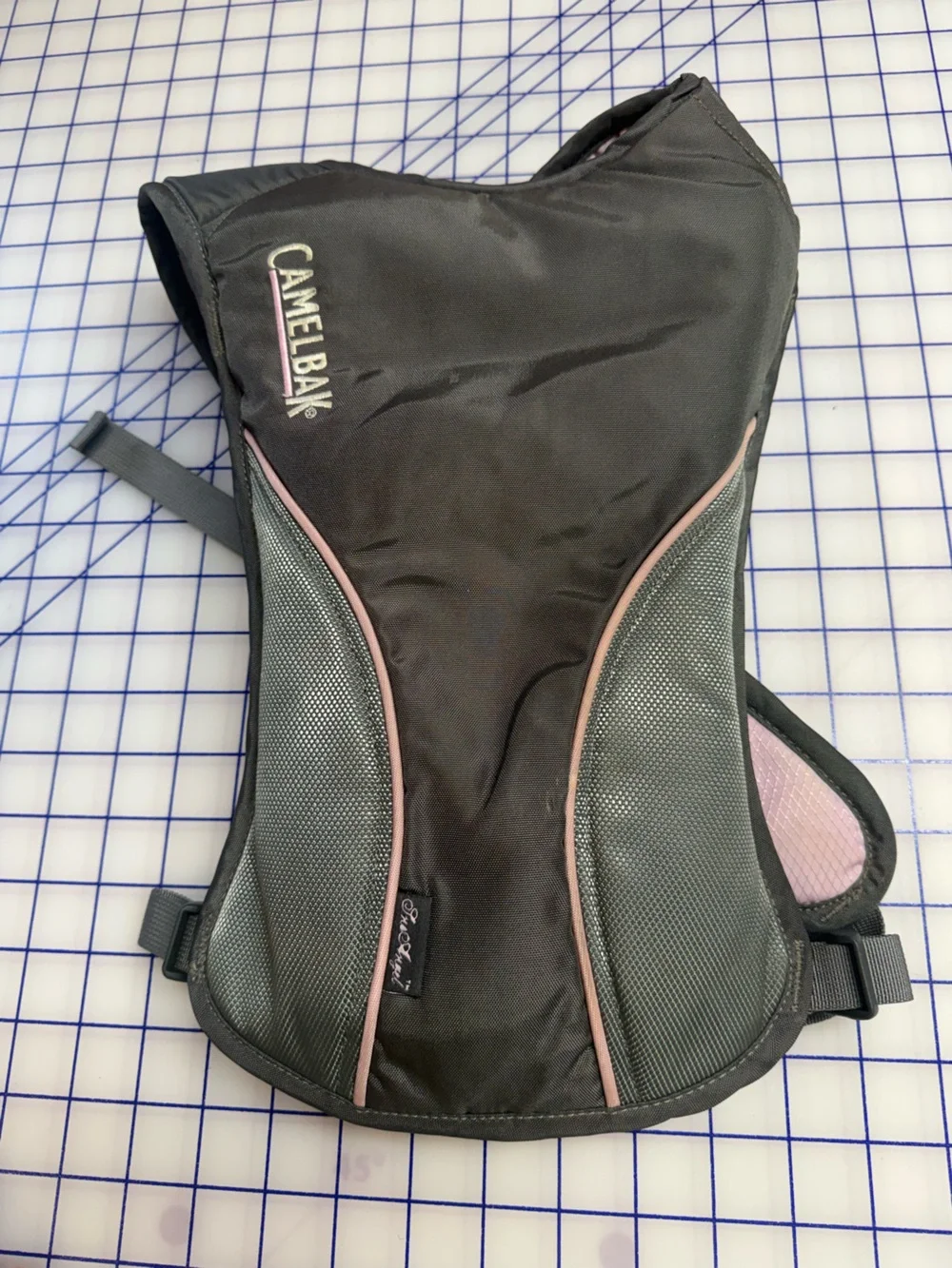 Camelbak The Angel Pink and Grey Water Bladder Backpack w/ Antifreeze Technology